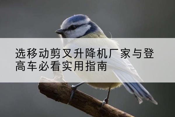 克东电动升降机厂家-选移动剪叉升降机厂家与登高车必看实用指南