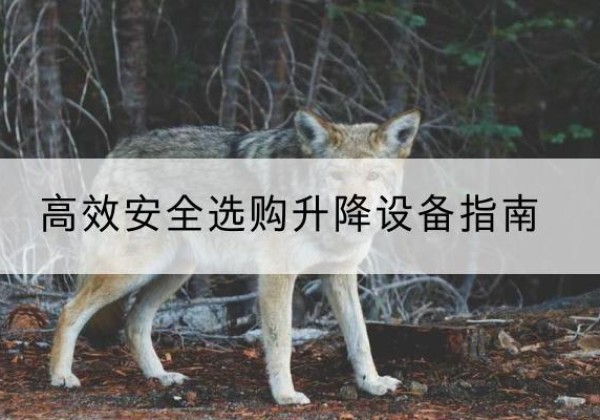 克东升降货梯厂家推荐-*安全选购升降设备指南