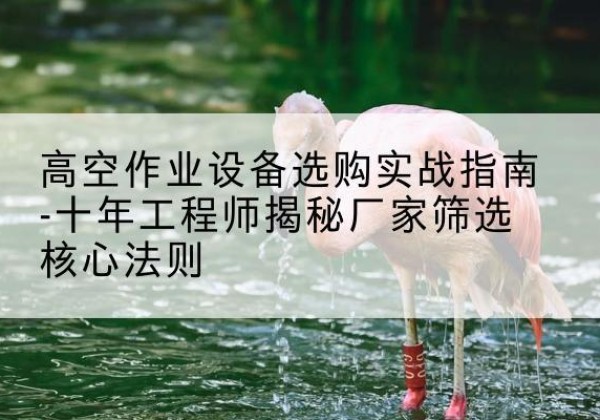 克东剪叉式升降机厂家-高空作业设备选购实战指南-十年工程师揭秘厂家筛选核心法则